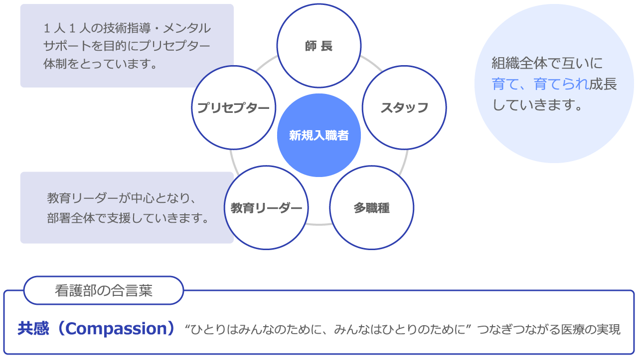 新規採用者支援制度